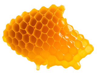 A honeycomb on white background
