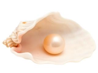 A single, luminous pearl rests in the center of a white, fluted shell