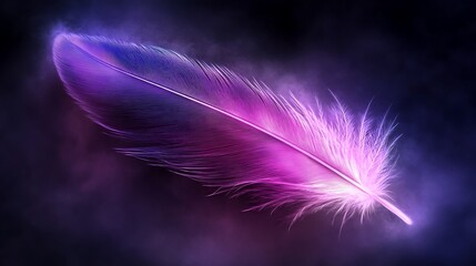 Obraz premium Single Purple Feather Glowing In Dark Mist