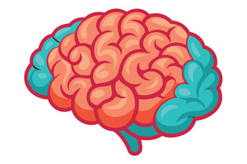 Human Brain with Sunburst Anatomically Correct Art. Human Skull Anatomy Vector Illustration.
