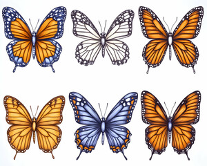 Six vibrant butterflies, nature illustration, white background, design element
