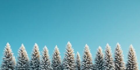 Contemporary Winter Tranquility Snow-Laden Evergreen Forest in Misty Horizon for Eco-Sustainable Nature Content and Seasonal Marketing Campaigns in Travel Industry