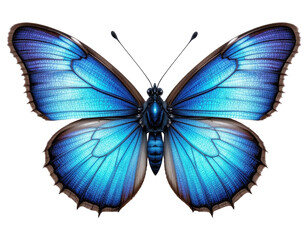 Obraz premium Beautiful Blue Butterfly Isolated on Transparent PNG Background.