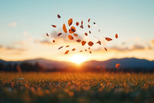Autumnal Sunset Aesthetic Vibrant Leaves in Motion Over Golden Fields - Ideal for Seasonal Marketing, Eco-Friendly Branding, and Outdoor Event Design