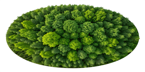 Aerial View of Mangrove Forest Island | Premium Nature Image