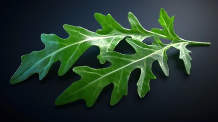 Close-up of vibrant green arugula leaves on a dark background, showcasing their texture and freshness