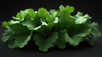 Lush green cabbage leaves arranged artistically against a dark background, showcasing their texture
