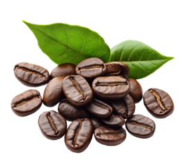Coffee beans with green leaves isolated on transparent background