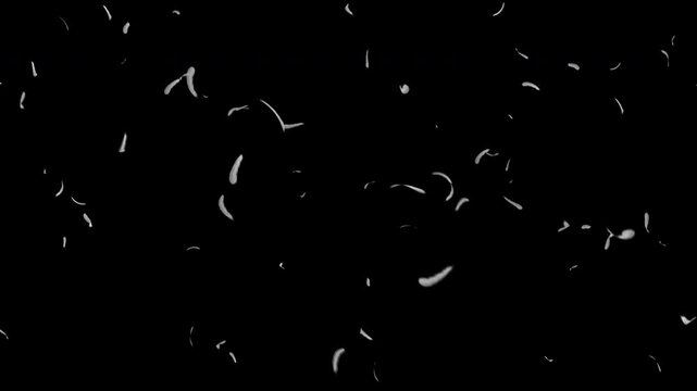 空から大量の鳥の羽がひらひらと落ちてくるアルファチャンネル付き動画 
Video with alpha channel of a large number of bird feathers fluttering down from the sky