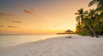 sunset on the beach with palms