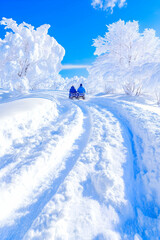 Snowy mountain sledding; winter fun, scenic background, travel photo