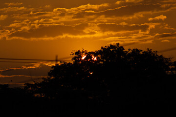 Sunset in the countryside of Sri Lanka, with silhouettes of trees and wires