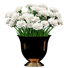 White carnation flower Bouquet in vase with transparent canvas