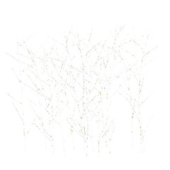 Collection of Winter tree on snow isolated on transparent Canvas