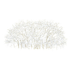 Winter tree on snow isolated on transparent Canvas