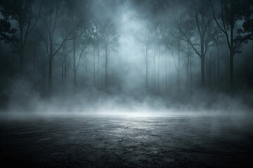 Foggy, dark forest at night with a cracked ground in the foreground.