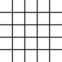 Black grid lines 5x5