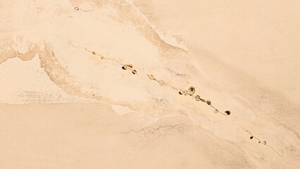 Beige textured wall with an organic design creates an intriguing visual effect highlighting natural imperfections and patterns