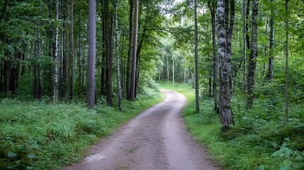Fototapeta premium Serene Forest Pathway with Green Trees and Soft Light Filtering Through : Generative AI