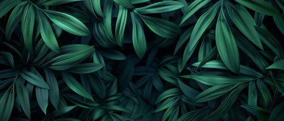 3D abstract background with palm leaves and shadows on silk fabric, showcasing tropical jungle foliage in dark colors.