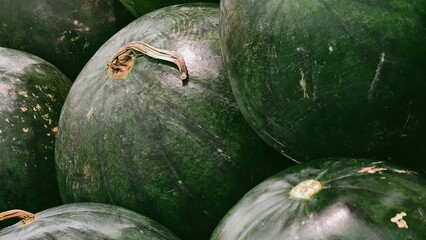 Close-up Shot of Fresh Watermelons Displayed in a Grocery Store