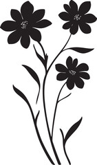 Timeless Elegance: The Enchanting Blooms of Monochrome
