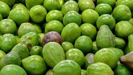 Vibrant display of fresh green avocados at a farmer's market stall