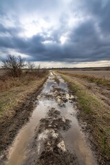 Fototapeta premium Rural Landscape with Muddy Road and Dramatic Sky Before Storm : Generative AI