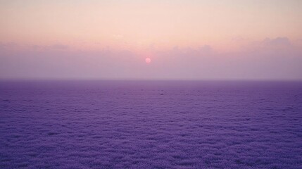 Obraz premium Purple sunrise over misty field, aerial view, tranquil
