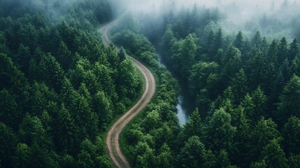 Winding road through misty forest, river alongside, aerial view; travel/nature imagery
