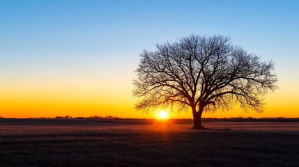 Majestic tree silhouetted against vibrant sunset backdrop on horizon : Generative AI