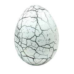 Isolated Cracked White Egg, Detail