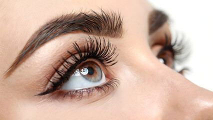 Obraz premium Close-up of a light brown human eye with well-defined lashes and eyebrow, showcasing natural beauty and intricate detail