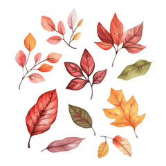 A collection of colorful autumn leaves in various shapes and sizes, isolated on a white background, perfect for seasonal designs.