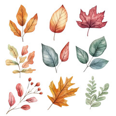Obraz premium A collection of vibrant, hand-painted watercolor leaves in various shapes and colors showcasing the beauty of nature and fall aesthetics.