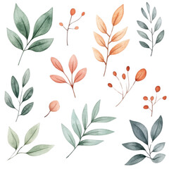 A collection of various watercolor leaves and branches, featuring greens and warm tones, on a transparent background for versatile design use.