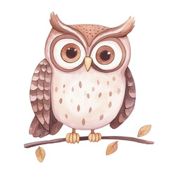 A cute watercolor illustration of an owl perched on a branch, displaying detailed feathers and large expressive eyes, isolated on a white background.