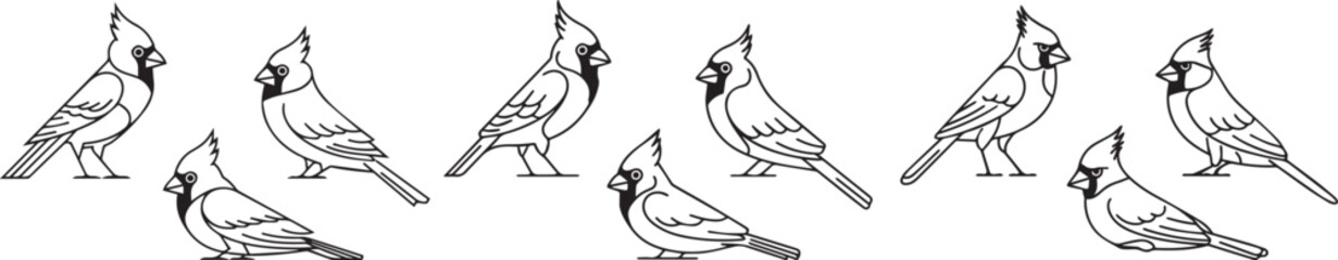 Fototapeta premium set off silhouette line art cardinal birds vector illustration