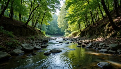 Obraz premium Serene Forest Stream Flowing Through Lush Green Landscape in Nature