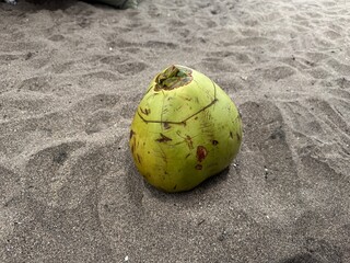 Coconut on the sand.