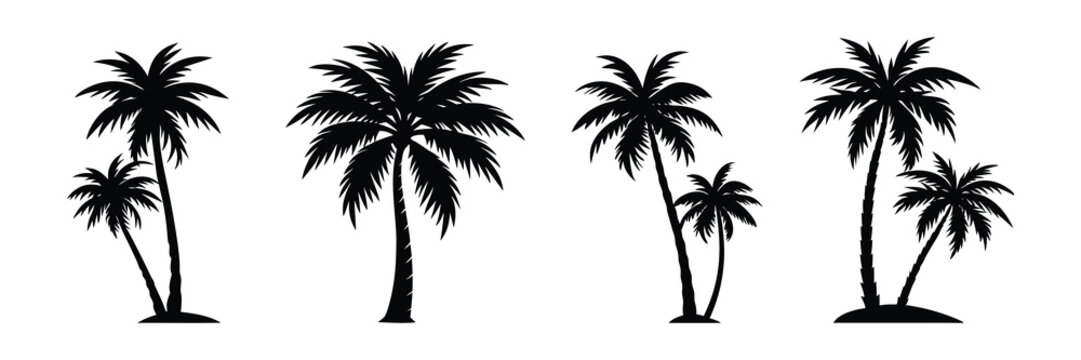 palm trees silhouettes on white background.