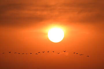 Obraz premium sunset over the sea