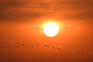 sunset over the ocean