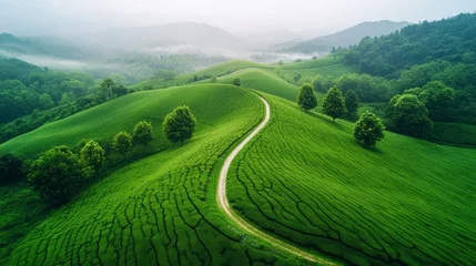 Photo sur Plexiglas Green Agriculture Artificial Intelligence Generation Illustration