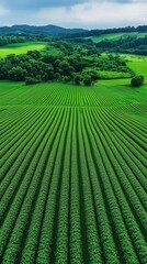 Green Agriculture Artificial Intelligence Generation Illustration