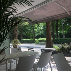 카페 풍경 가로수 길거리