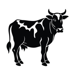 Fototapeta premium Silhouette of a Black Cow Standing Sideways