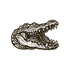 Alligator woodcutting engraving vector art