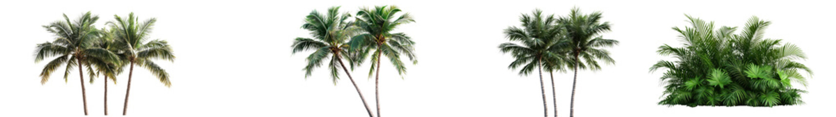 Fototapeta premium Lush tropical palm trees swaying in the breeze against a backdrop of a picturesque coastal landscape with clear blue skies creating a serene and tranquil atmosphere perfect for relaxation vacation and