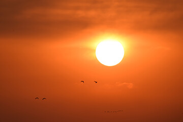 sunset on the beach